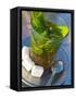 Mint Tea, Marrakech, Morocco, North Africa, Africa-Nico Tondini-Framed Stretched Canvas