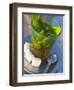 Mint Tea, Marrakech, Morocco, North Africa, Africa-Nico Tondini-Framed Photographic Print