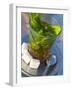 Mint Tea, Marrakech, Morocco, North Africa, Africa-Nico Tondini-Framed Photographic Print