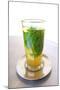 Mint Tea, Tangier, Morocco, North Africa, Africa-Neil Farrin-Mounted Photographic Print