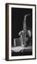 Minuet II-Pippa Chapman-Framed Giclee Print
