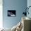 Mir Russian Space Station in Orbit over Earth-null-Framed Stretched Canvas displayed on a wall