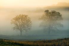 Misty Battlefield, Gettysburg National Military Park, Pennsylvania, USA-Mira-Stretched Canvas