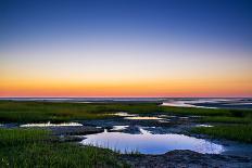 Salt Marsh Tidal Pools at Low Tide, Boat Meadow Beach, Eastham, Cape Cod, Massachusetts, USA-Mira-Stretched Canvas