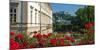 Mirabell Gardens against Fortress Hohensalzburg, Salzburg, Austria, Europe-Hans-Peter Merten-Mounted Photographic Print