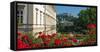 Mirabell Gardens against Fortress Hohensalzburg, Salzburg, Austria, Europe-Hans-Peter Merten-Framed Stretched Canvas