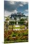 Mirabell gardens with Cathedral and Hohensalzburg castle in the background, Salzburg, Austria-Stefano Politi Markovina-Mounted Premium Photographic Print