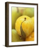 Mirabelle-Jean Cazals-Framed Photographic Print