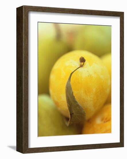 Mirabelle-Jean Cazals-Framed Photographic Print