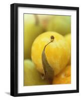 Mirabelle-Jean Cazals-Framed Photographic Print