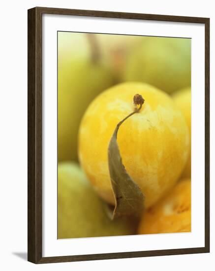 Mirabelle-Jean Cazals-Framed Photographic Print