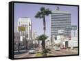 Canvas Black