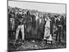 Miracle of the Sun, Fatima, 13th October 1917-null-Mounted Photographic Print