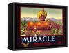 Miracle Orange Label-null-Framed Stretched Canvas