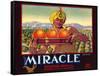 Miracle Orange Label-null-Framed Stretched Canvas