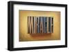 Miracle-enterlinedesign-Framed Photographic Print