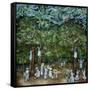 Miraculous Vision of the Virgin in the Orange Orchard, 1996-James Reeve-Framed Stretched Canvas