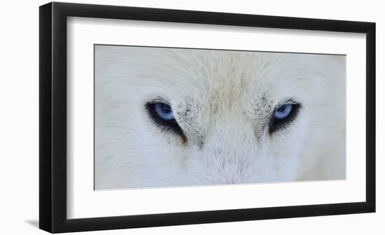 Mirada Azul-Miquel Angel Artus-Framed Giclee Print