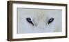 Mirada Azul-Miquel Angel Artus-Framed Giclee Print