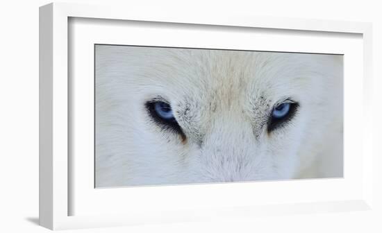 Mirada Azul-Miquel Angel Artus-Framed Giclee Print