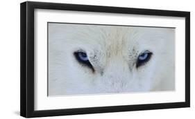 Mirada Azul-Miquel Angel Artus-Framed Giclee Print