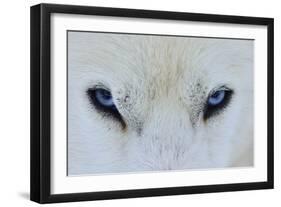 Mirada Azul-miquel angel artús-Framed Photographic Print