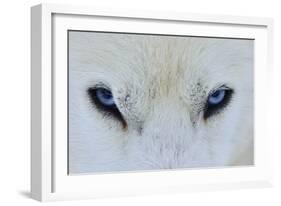 Mirada Azul-miquel angel artús-Framed Photographic Print