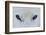 Mirada Azul-miquel angel artús-Framed Photographic Print