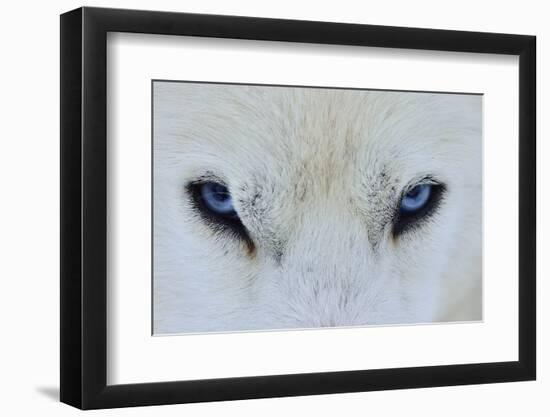 Mirada Azul-miquel angel artús-Framed Photographic Print