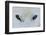 Mirada Azul-miquel angel artús-Framed Photographic Print