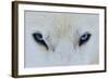 Mirada Azul-miquel angel artús-Framed Photographic Print