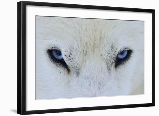 Mirada Azul-miquel angel artús-Framed Photographic Print