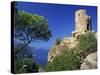 Mirador of Ses Animes, Mallorca, Balearic Islands, Spain, Mediterranean, Europe-Tomlinson Ruth-Stretched Canvas