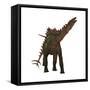 Miragaia Is a Genus of Stegosaurid Dinosaur-null-Framed Stretched Canvas