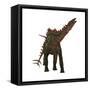 Miragaia Is a Genus of Stegosaurid Dinosaur-null-Framed Stretched Canvas