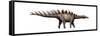 Miragaia Longicollum, a Stegosaurid of the Jurassic Period-null-Framed Stretched Canvas