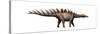 Miragaia Longicollum, a Stegosaurid of the Jurassic Period-null-Stretched Canvas