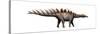 Miragaia Longicollum, a Stegosaurid of the Jurassic Period-null-Stretched Canvas