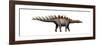 Miragaia Longicollum, a Stegosaurid of the Jurassic Period-null-Framed Art Print