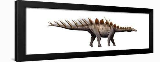 Miragaia Longicollum, a Stegosaurid of the Jurassic Period-null-Framed Art Print