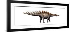 Miragaia Longicollum, a Stegosaurid of the Jurassic Period-null-Framed Art Print