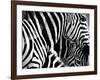 Mirage - Detail-Bobbie Goodrich-Framed Giclee Print