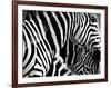 Mirage - Detail-Bobbie Goodrich-Framed Giclee Print