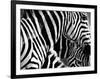 Mirage - Detail-Bobbie Goodrich-Framed Giclee Print