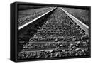 Framed Canvas