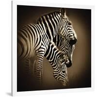 Mirage-Bobbie Goodrich-Framed Premium Giclee Print