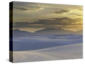 Mirage-Art Wolfe-Stretched Canvas