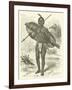 Mirambo, the Great African Chief-null-Framed Giclee Print