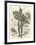 Mirambo, the Great African Chief-null-Framed Giclee Print