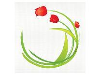 Vivacious Tulip Bloom-Miranda York-Stretched Canvas